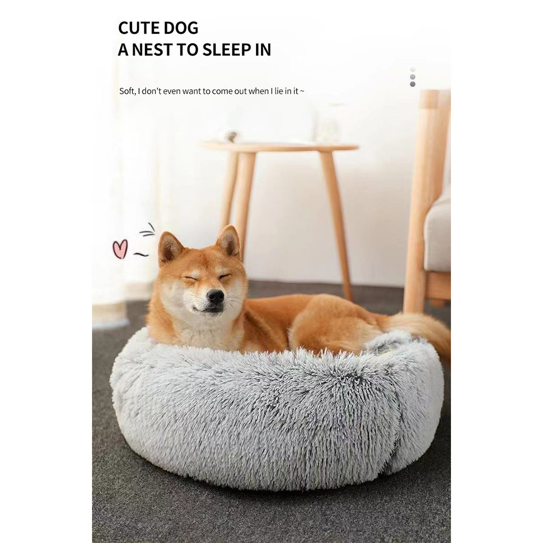 Dog Bed Store | Premium Dog Beds for Comfort & Better Sleep Dog Bed Store | Premium Dog Beds for Comfort & Better Sleep