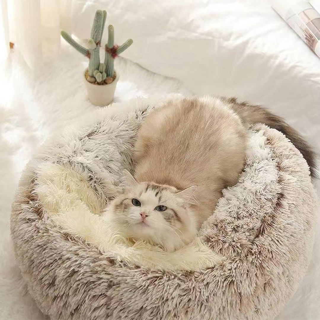 Dog Bed Store | Premium Dog Beds for Comfort & Better Sleep Dog Bed Store | Premium Dog Beds for Comfort & Better Sleep